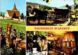 (2 J 1) France - Vignobles D'Alsace  - With Wine Barrel - Tonneaux - Vignes