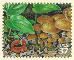 USA 2005 MiNr. 3916 NORTHEAST DECIDUOUS FOREST Amphibians Red Eft , Plants, Mushrooms, Honey Fungus 1v MNH**  0.90 € - Sonstige