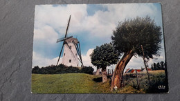 DE MOLEN - Damme