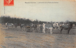 94-LE-PLESSIS-TREVISE- LABOUREURS DE LA PLAINE DES BORDES - Le Plessis Trevise