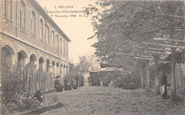 92-MEUDON-EXPOSITION D'HORTICULTURE 1ER NOVEMBRE 1910 - Meudon