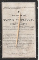 Nazareth, Bachte, 1927, Sophie Vindevogel, Laveyn - Religion & Esotericism