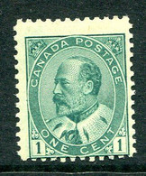 Canada 1903 King Edward VII - 1c Deep Green HM (SG 174) - Neufs
