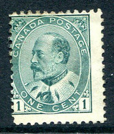 Canada 1903 King Edward VII - 1c Green MNG (SG 175) - Unused Stamps