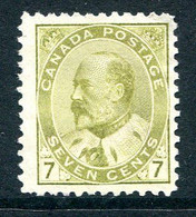 Canada 1903 King Edward VII - 7c Greenish-bistre MNG (SG 181) - Neufs