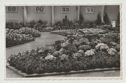 Floralies Lausanne  Comptoir Septembre 1938 - VD Waadt