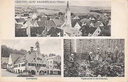 MAINBURG ( Allemagne ) - Gruss Aus Mainburg - Mainburg