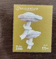 SOMALILAND, SOOMAALIYA Champignons, Champignon, Setas, Muschrooms. 1 Valeur émise En 2000 ** MNH. - Pilze