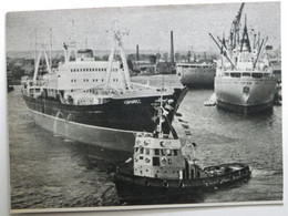 CCCP General Cargo Admirec And CCCP Tug  /  (ilustration  - Photo  From The New Paper 61) - Remorqueurs