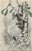 22-8-2699  M M VIENNE Nichoir Avec Oiseaux 1903 - Birds