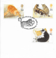 Le Chat - Cat - Chats - Grande-Bretagne Angleterre - Philatelic Felines - CATSHILL BROMSGROVE 17 Janvier 1995 - Flamme - Storia Postale