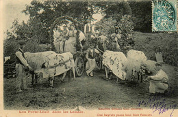 Dans Les Landes * Lou Porte Lheït * Attelages Boeufs Cavalcade Fête Fleurie ? - Sonstige & Ohne Zuordnung