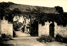 St Just , Près Vernon * Carte Photo * Tante " Fanny " - Sonstige & Ohne Zuordnung