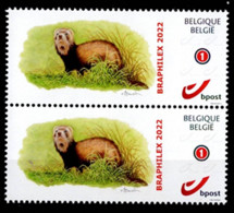 Duostamp** / Mystamp** BUZIN - Furet En Paire - BRAPHILEX - WAVRE - Otros & Sin Clasificación