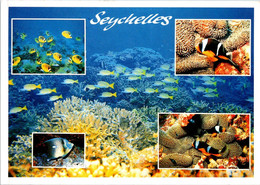 (2 J 5) Seychelles Island (posted To FRance 1999) With Princess Diana Stamp (fish - Poissons) - Seychelles