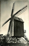 Mont Cassel * Le Moulin à Vent * Molen - Cassel