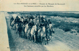 Les Saintes Maries De La Mer * Manade Du Marquis De Baroncelli * Les Taureaux Encadrés Par Les Gardians - Saintes Maries De La Mer