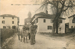 Urrugne * Grande Rue Du Village * Un Attelage De Boeufs Basque - Urrugne