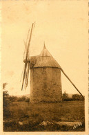 Vaour * Le Moulin à Vent Du Village * Molen - Vaour