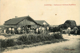 Marennes * établissement Ostréicole * Ostréiculture Huîtres * Attelage - Marennes