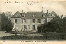 Sagonne * Le Château De Pierry - Autres & Non Classés