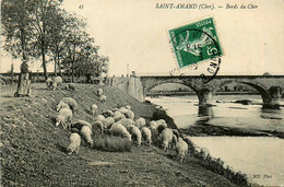 St Amand Montrond * Vue Sur Les Bords Du Cher * Troupeau Moutons * Pont - Saint-Amand-Montrond