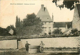 Gilly Les Vougeot * Vue Sur Le Château Machard * Le Puits - Autres & Non Classés