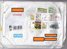 Cezch Air Registered Mail To China — 2018 Mushrooms/Train;2019 Beautiful Country;2021 Butterfly Etc. - Storia Postale
