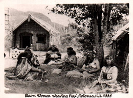 PHOTO / 9 X 6 CM / NOUVELLE ZELANDE MAORI WOMEN WEAVING FLAX ROTORUA - Nouvelle-Zélande