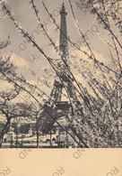 Delcampe - CARTOLINA  PARIS,FRANCIA,LA TOUR EIFFEL,VIAGGIATA - Eiffelturm