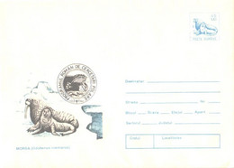 Romania:Walrus, Odobenus Rosmarus, 1994 - Covers & Documents