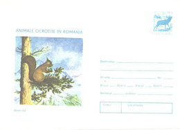 Romania:Squirrel, 1977 - Covers & Documents