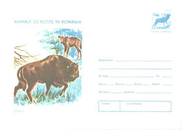 Romania:Bison, Buffalo, 1977 - Briefe U. Dokumente