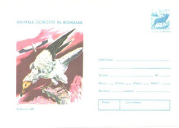 Romania:Bird, Vulturul Alb, 1977 - Briefe U. Dokumente