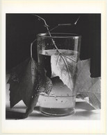 Horst P. Horst: Army Leaves 1944 (Sheet 1992: Form Horst 27 X 35.5 CM) - Unclassified