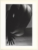 Horst P. Horst: Bending Nude 1941 Gay INT (Sheet-Fed Gravure 1992: Form Horst 27 X 35.5 CM) - Sin Clasificación