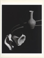 Horst P. Horst: Callas With Blue Vase 1989 (Sheet-Fed Gravure 1992: Form Horst 27 X 35.5 CM) - Non Classificati