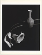 Horst P. Horst: Callas With Blue Vase 1989 (Sheet-Fed Gravure 1992: Form Horst 27 X 35.5 CM) - Ohne Zuordnung