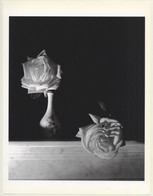 Horst P. Horst: White Roses 1989 (Sheet 1992: Form Horst 27 X 35.5 CM) - Ohne Zuordnung