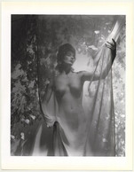 Lisa With Money Plant, 1939 Nude Study (1992 Sheet: Horst P. Horst 27.5 X 35.5 CM) - Unclassified