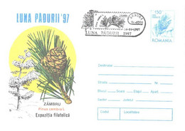 Romania:Tree Pinus Cembra L., 1997 - Lettres & Documents