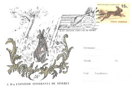 Romania:Rabbit, Oryctolagus Cuniculus, Special Cancellation, 1994 - Storia Postale