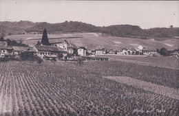 Mont Sur Rolle VD, Village Et Vigne (3459) - Rolle