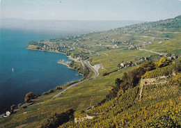 A17141 - Switzerland CULLY Grandvaux  EPESSES RIEX Vignobles De Lavaux POSTCARD UNUSED - Cully