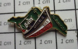 512g2   Pin's Pins / Beau Et Rare / THEME : ASSOCIATIONS / AMICALE DES MODELISTES D'OLERON BATEAU MODELE REDUIT - Associations