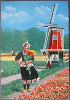 NETHERLANDS HOLLAND FLOWERS WINDMILL CARD ANSICHTSKARTE POSTCARD PC CP AK CARTE POSTALE CARTOLINA KARTE - Coevorden