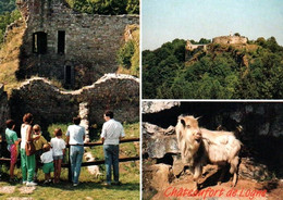 Châteaufort De Logne Repaire Des Sangliers Des Ardennes - Ferrières