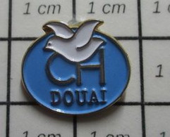 512g2 Pin's Pins / Beau Et Rare / THEME : MEDICAL / OISEAU BLANC COLOMBE CH DOUAI HOPITAL - Médical