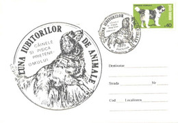 Romania:Dog Special Cancellation, 1994 - Lettres & Documents
