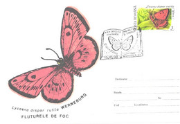 Romania:Butterfly, Lycaena Dispar Rutila, Special Cancellation, 1998 - Brieven En Documenten